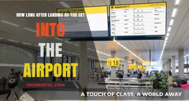 From Touchdown to Terminal: Understanding Airport Arrival Timelines