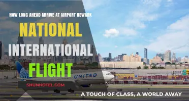 Newark Airport Arrival Guide: Timing for International Flights