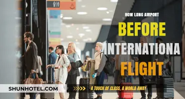 Arriving Early: Optimal Time to Reach Airport for International Flights
