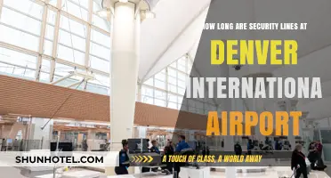 Denver Airport Security Wait Times: What to Expect Before Your Flight