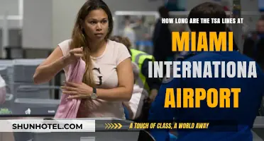 Miami Airport TSA Wait Times: What to Expect Before You Fly