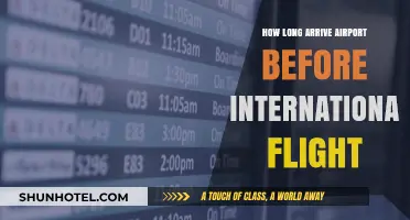Arriving Early: Optimal Timing for International Flight Departures