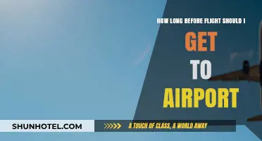 Airport Arrival Timing: When to Get to the Airport Before Your Flight
