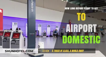 Domestic Flight Prep: Ideal Airport Arrival Time Guide