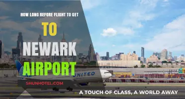 Best Time to Arrive at Newark Airport Before Your Flight