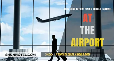 Airport Arrival Guide: Timing Your Pre-Flight Check-In Perfectly