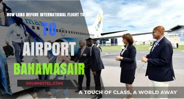 Bahamasair International Flight: Optimal Airport Arrival Time Guide