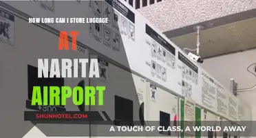Narita Airport: Storing Luggage Overnight