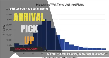 Waiting at Arrivals: How Long is Too Long?