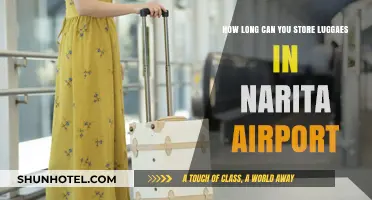 Storing Luggage at Narita: How Long is Possible?