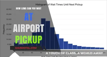 Waiting at the Airport: How Long is Too Long?