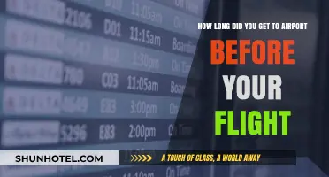 Timing Your Airport Arrival: How Early Should You Really Get There?