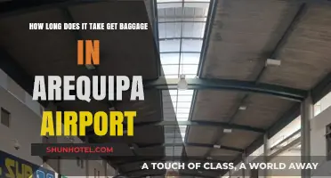 Arequipa Airport Baggage Claim: Time Estimates for Travelers