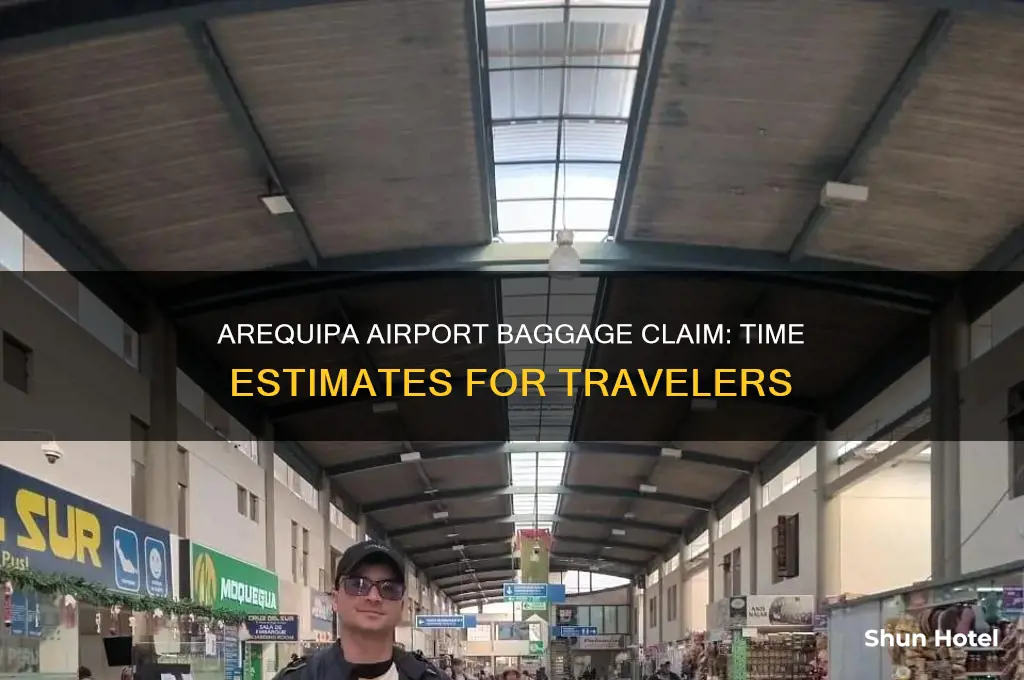 how long does it take get baggage in arequipa airport