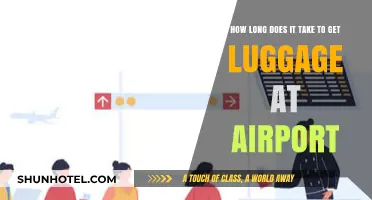 Airport Luggage Wait Times: How Long Until Your Bags Arrive?