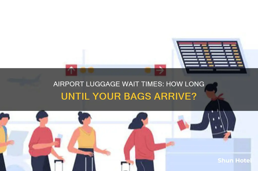 how long does it take to get luggage at airport