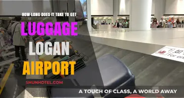 Logan Airport Luggage Wait Time: What to Expect for Baggage Claim