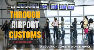 Navigating Airport Customs: Understanding Average Wait Times and Tips