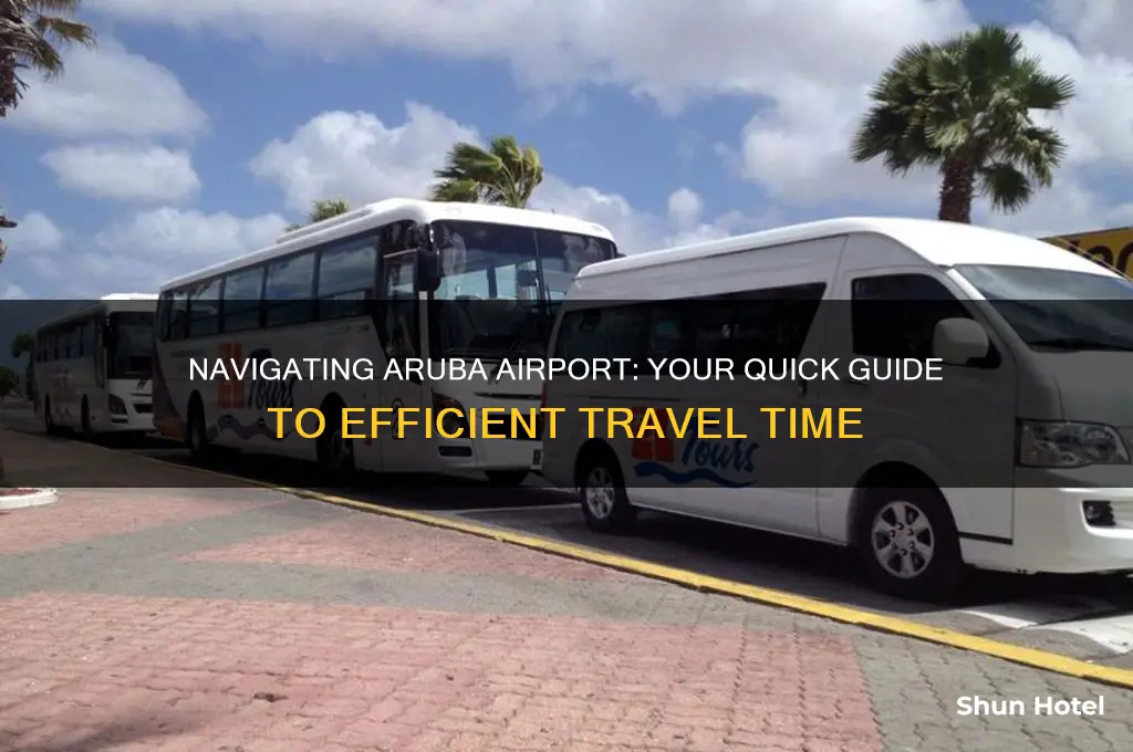 how long does it take to get through aruba airport