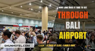 Navigating Bali Airport: Average Time to Clear Immigration and Security