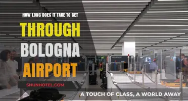 Navigating Bologna Airport: Average Time to Pass Through Security and Boarding