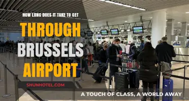 Navigating Brussels Airport: Average Time to Pass Through Security and Boarding