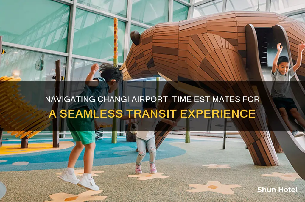 how long does it take to get through changi airport