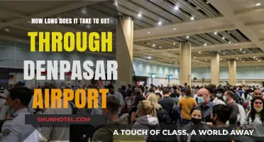 Navigating Denpasar Airport: Average Time to Clear Immigration and Security