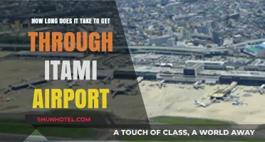 Navigating Itami Airport: Average Time to Pass Through Efficiently