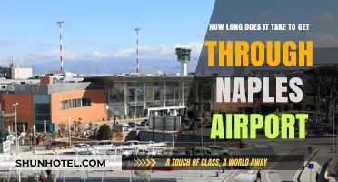 Navigating Naples Airport: Average Time to Pass Through Security and Gates