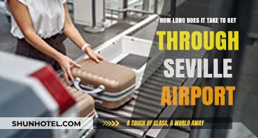 Navigating Seville Airport: Average Time to Clear Security and Departures