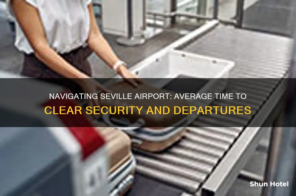 how long does it take to get through seville airport