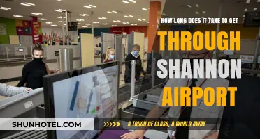 Navigating Shannon Airport: Average Time to Clear Security and Departures