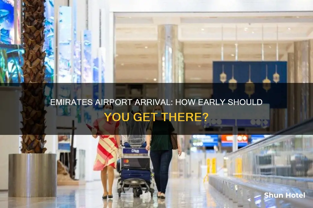 how long early to get to airport emerites