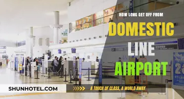 Quick Guide: Domestic Airport Exit Times and Efficient Departure Tips