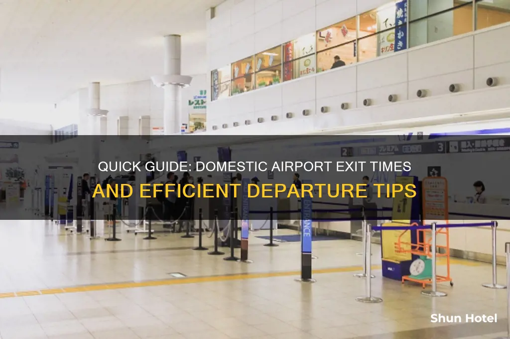 how long get off from domestic line airport