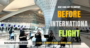Timing Your Airport Arrival for Stress-Free International Travel