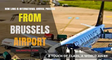 Brussels Airport International Arrival Process: Duration and What to Expect