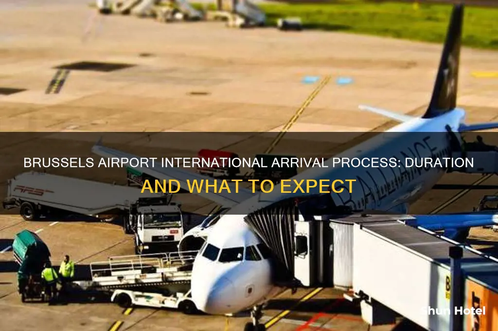 how long is international arrival process from brussels airport