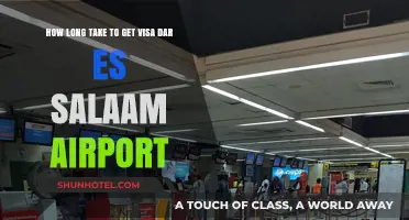 Visa Processing Time at Dar es Salaam Airport: What to Expect