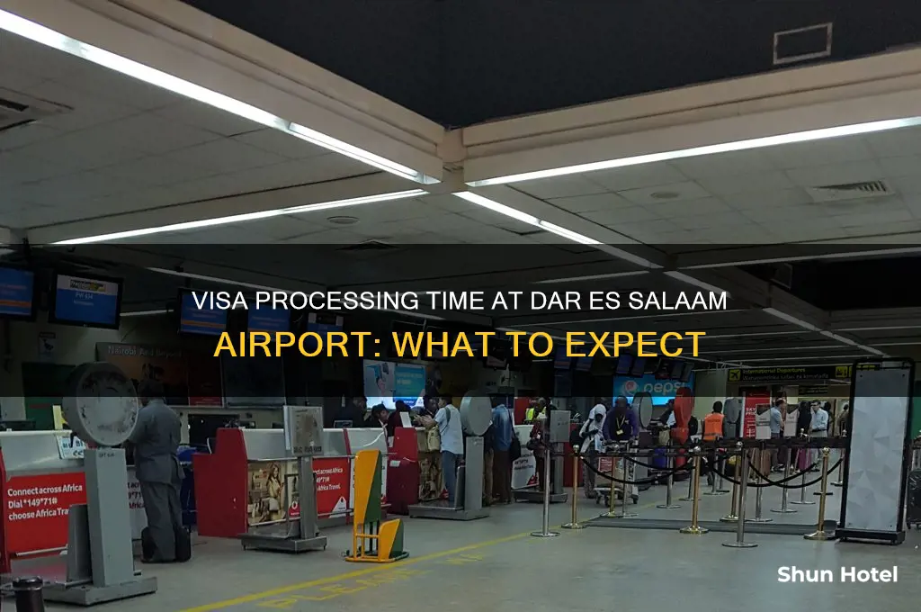 how long take to get visa dar es salaam airport