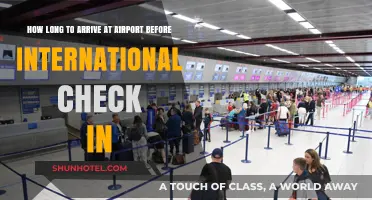 International Travel Tips: Optimal Airport Arrival Time for Check-In
