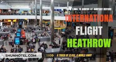 Heathrow International Flight: Optimal Arrival Time Before Departure