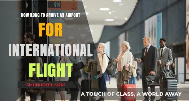 International Flight Prep: Optimal Airport Arrival Time Guide