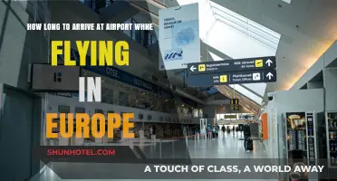 Arriving at European Airports: Timing Tips for Stress-Free Travel