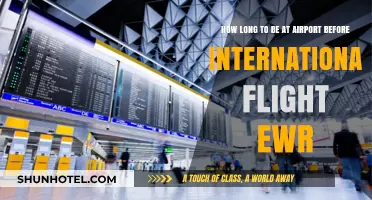 EWR International Flight Prep: Ideal Arrival Time Before Departure