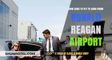 Flying to Cabo from Ronald Reagan Airport: Your Travel Time Guide