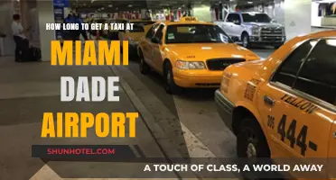 Miami Dade Airport Taxi Wait Times: What to Expect