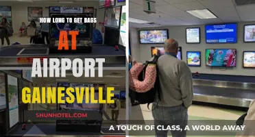 Gainesville Airport Baggage Claim: How Long to Retrieve Your Luggage?