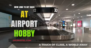 How Long Does It Take to Get Bags at Hobby Airport?